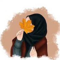 Elfida